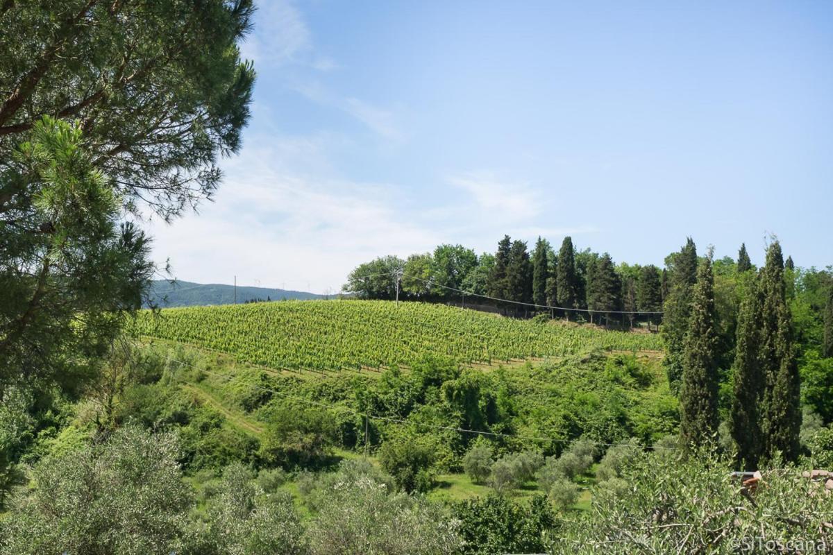 Agriturismo Terre Di Toscana Terricciola エクステリア 写真