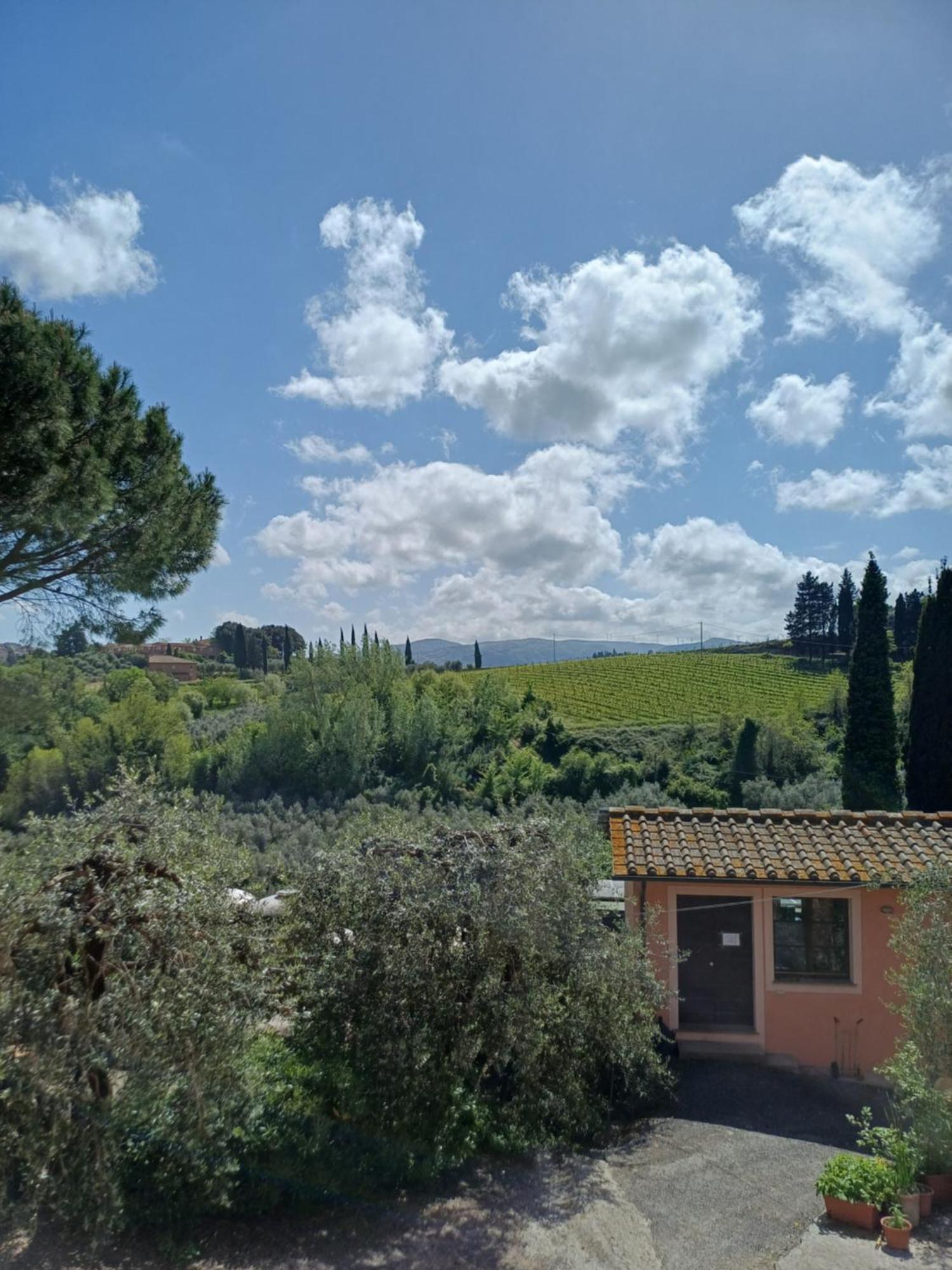 Agriturismo Terre Di Toscana Terricciola エクステリア 写真